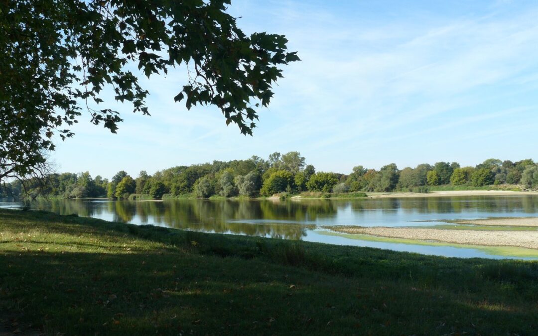 Vacances de printemps aux accueils de loisirs des Pitchounes et des Ricochets.
