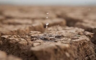 💧 Sécheresse : Fourchambault passe en niveau « crise »